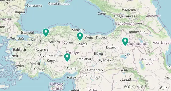 Merkez eczane konum haritası — Ağrı
