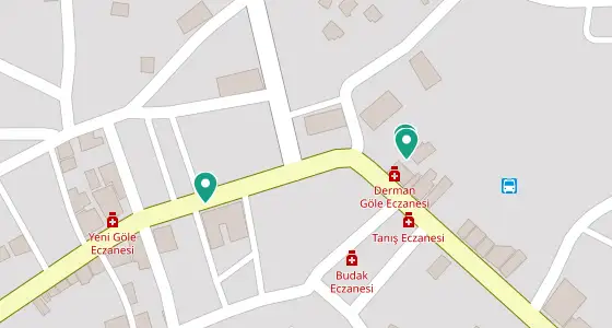 Göle eczane konum haritası — Ardahan
