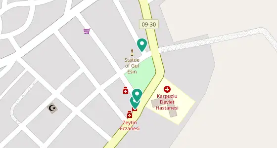 Karpuzlu eczane konum haritası — Aydın