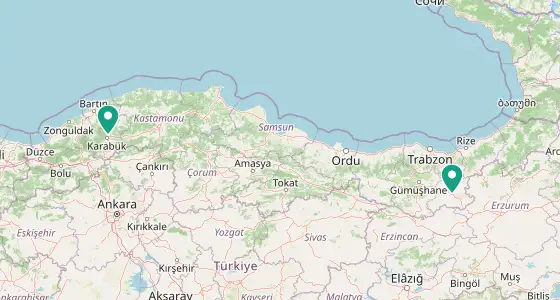 Merkez eczane konum haritası — Bayburt