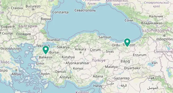 Merkez eczane konum haritası — Bitlis