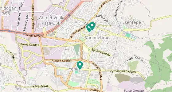 Kestel eczane konum haritası — Bursa