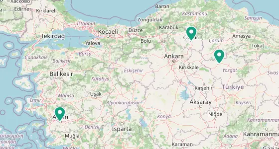 Merkez eczane konum haritası — Çankırı