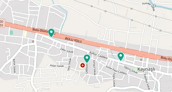 Kaynaşlı eczane konum haritası — Düzce