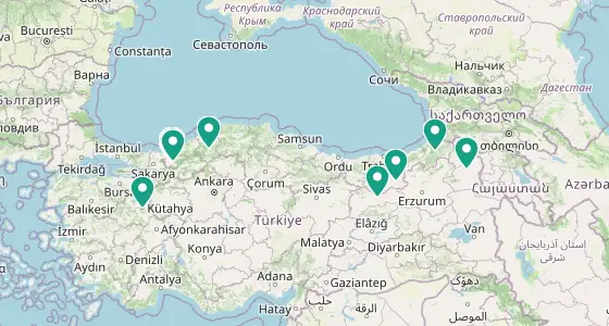 Merkez eczane konum haritası — Düzce