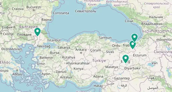 Merkez eczane konum haritası — Elazığ