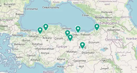 Merkez eczane konum haritası — Giresun