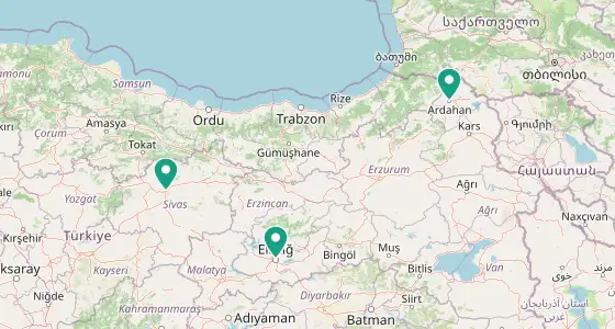 Merkez eczane konum haritası — Gümüşhane