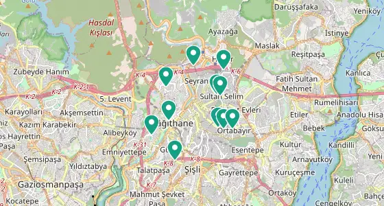 Kağıthane eczane konum haritası — İstanbul