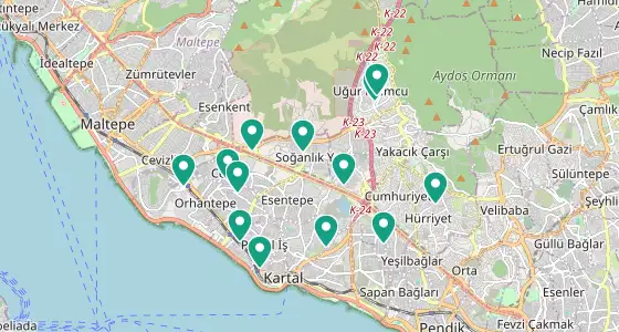 Kartal eczane konum haritası — İstanbul
