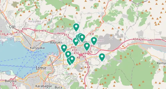 Bornova eczane konum haritası — İzmir