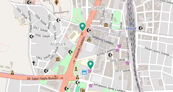 Selçuk eczane konum haritası — İzmir