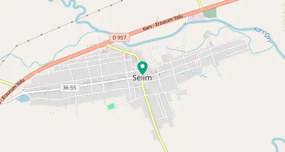 Selim eczane konum haritası — Kars
