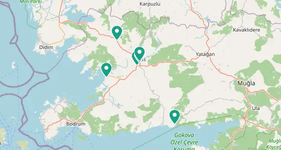 Milas eczane konum haritası — Muğla