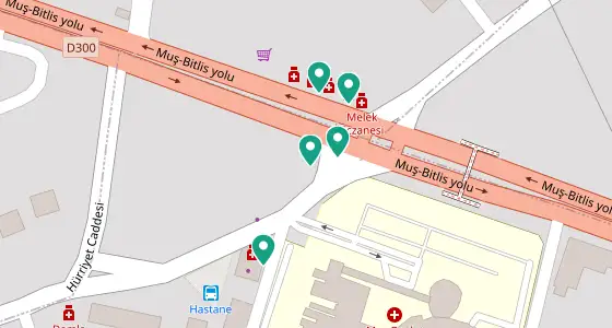 Merkez eczane konum haritası — Muş