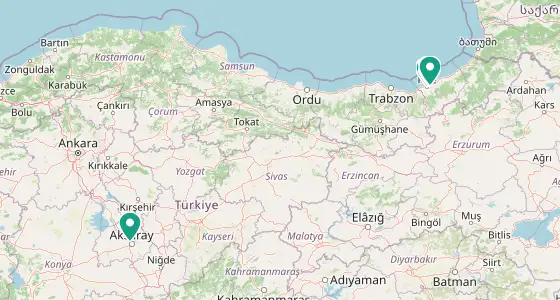 Merkez eczane konum haritası — Rize