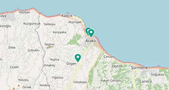 Araklı eczane konum haritası — Trabzon